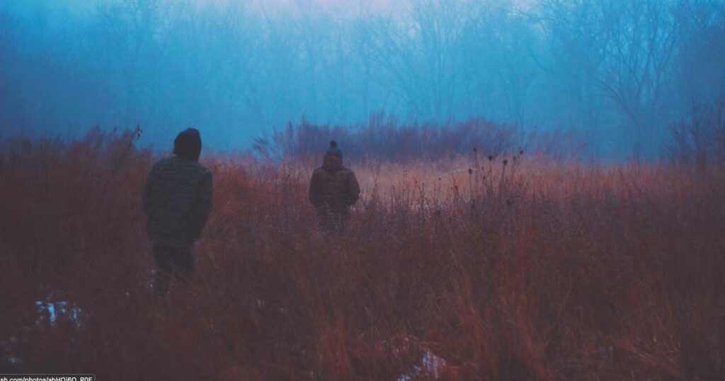 two people walking through a forest